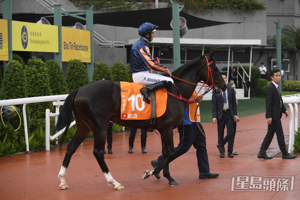「紅運帝王」是五歲北半球馬，估計戰鬥力仍在高峰期，凡跑千四、千六都要時刻提防。