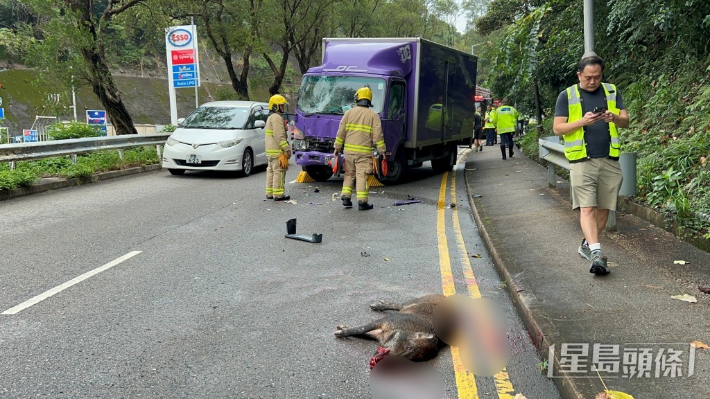 貨車車頭損毀，擋風玻璃爆裂。林思明攝