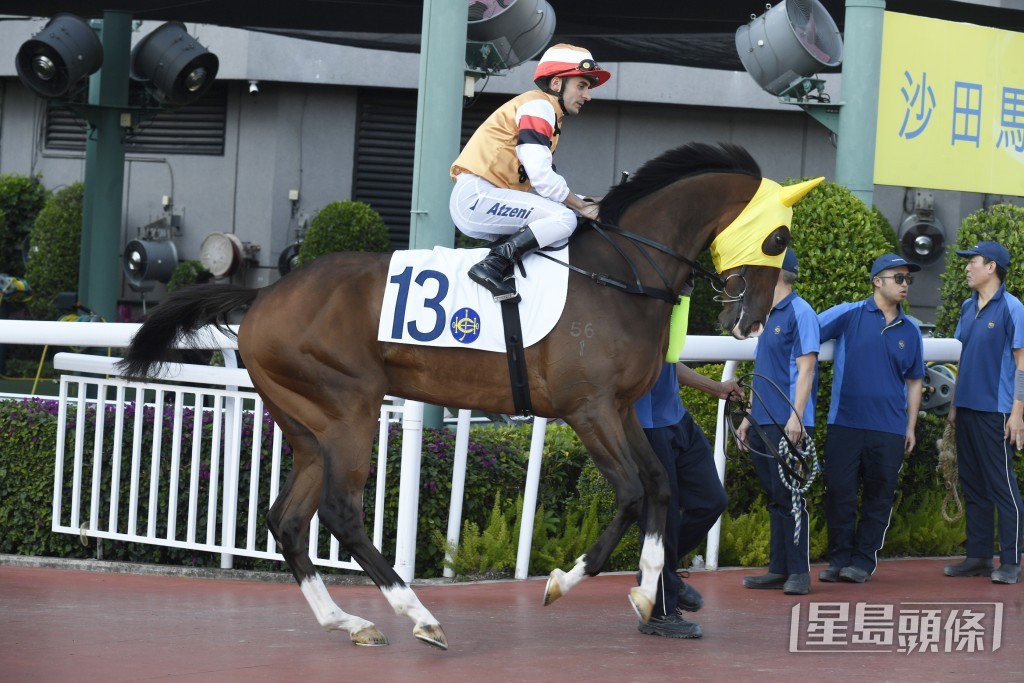 「增旺」上场竞逐田草千四米，结果后上跑第三名。