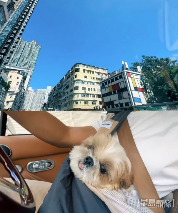 張振朗不時都會在社交平台分享與愛犬的日常點滴。