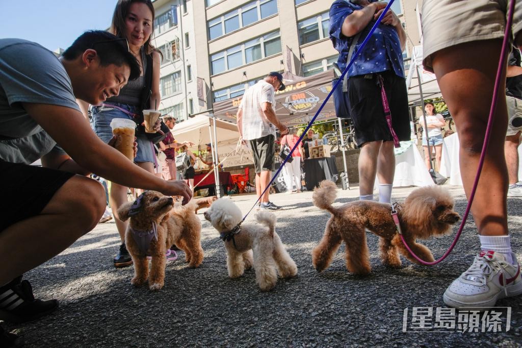 現時西貢及赤柱有個別寵物友善餐廳，於戶外座位區默許市民攜犬光顧。