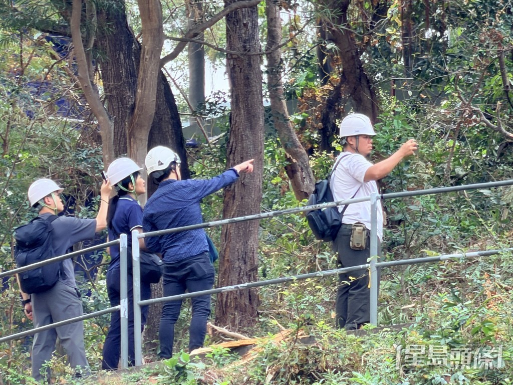 房署職員勘察山坡。 房署職員勘察山坡。