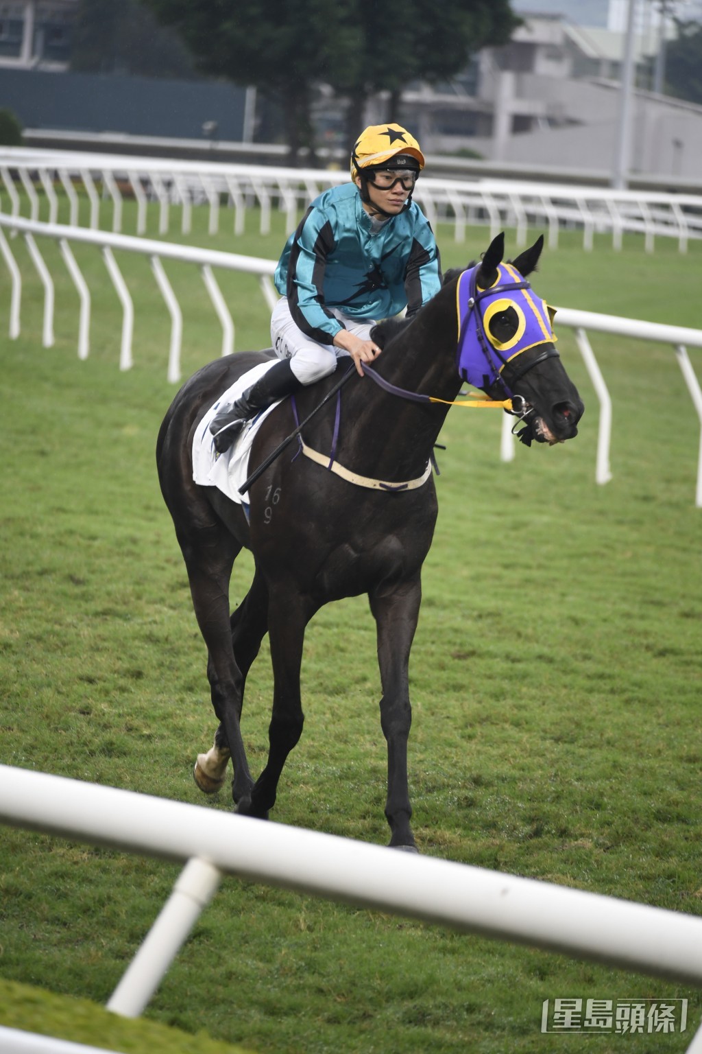 「精算特殊」可望演出再進，是今場爭勝分子。