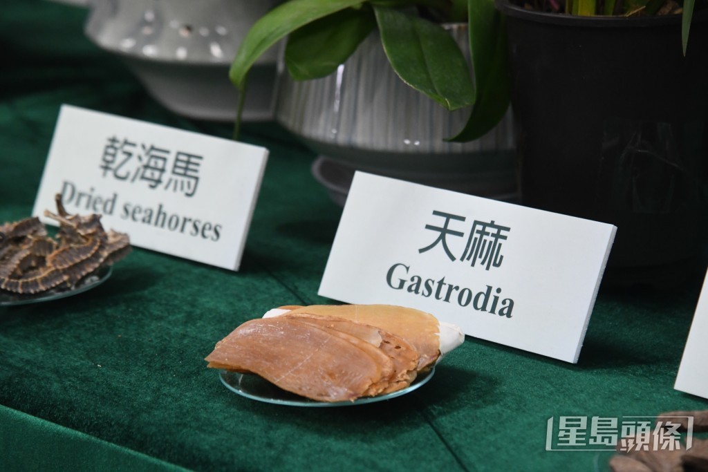 漁護署呼籲切勿購買未能確定是否受管制產品,以免誤觸法例。 漁護署呼籲切勿購買未能確定是否受管制產品,以免誤觸法例。