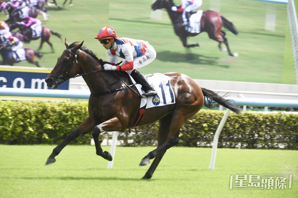 「瀧澤飛駒」上仗在田草千六米贏馬。