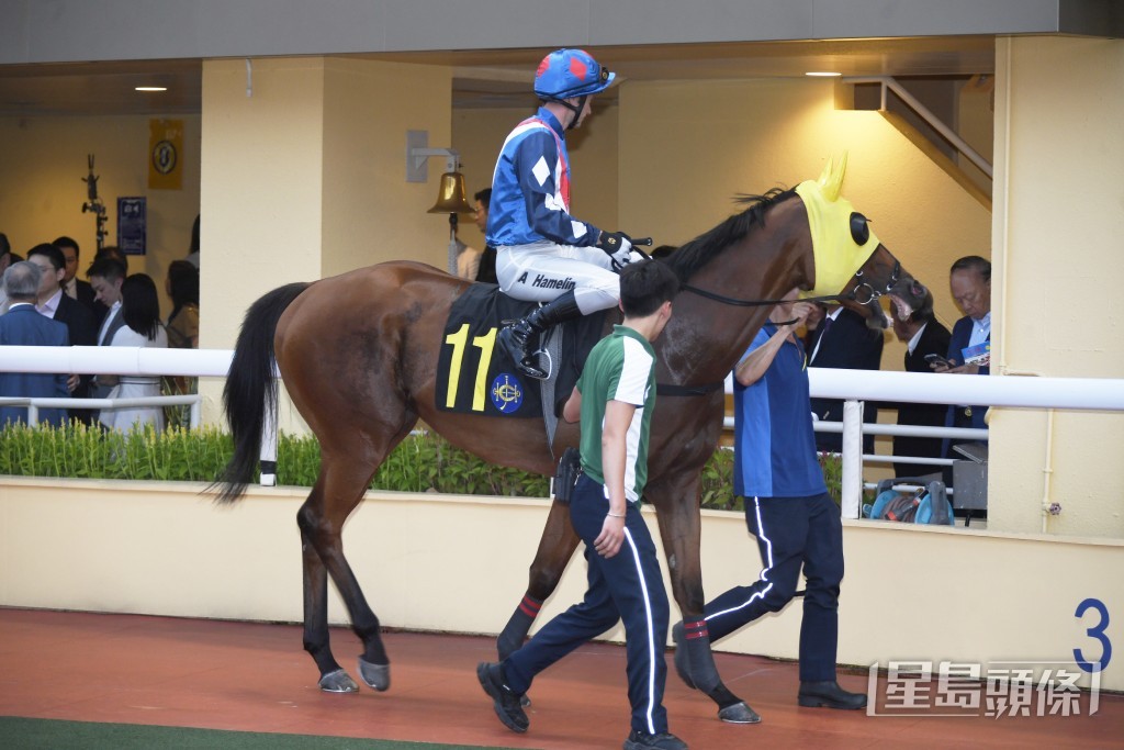 「金钻精灵」明日将由班德礼接手，列阵第五场四班千四米。