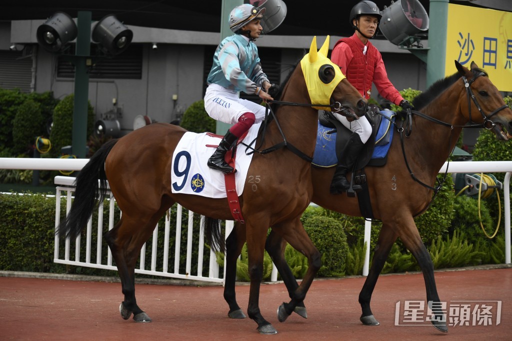 「將義」倘若發揮出上場水準，足以在此場爭勝。