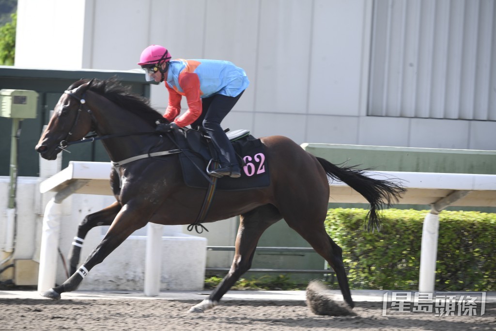 「嘉應高昇」輕鬆已跳出快時間，過終點後勁勢持續。
