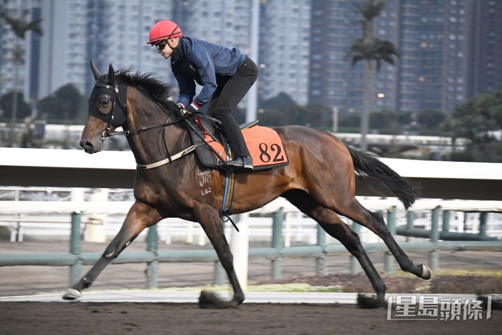 「金獅大俠」 「金獅大俠」