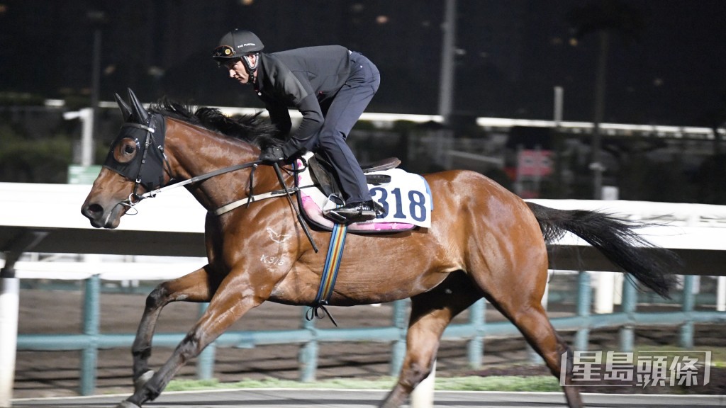 「龍傲綾羅」擔高頭走樣子神氣，火氣充裕弗到漏油。