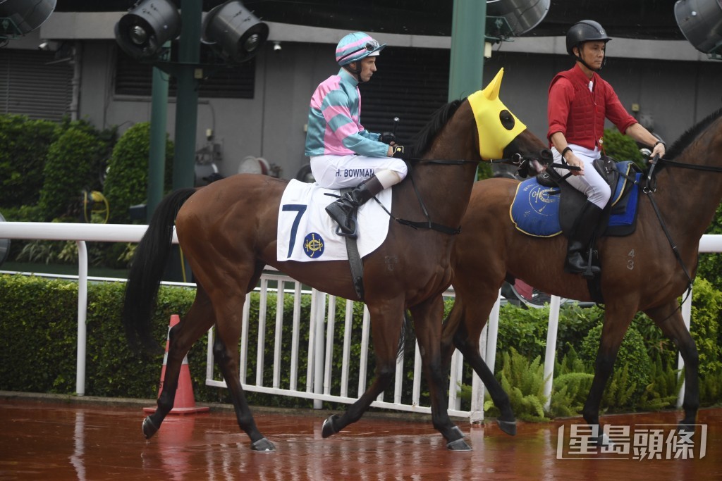 「智智多寶」正值勇境之馬，必全力盡拼。