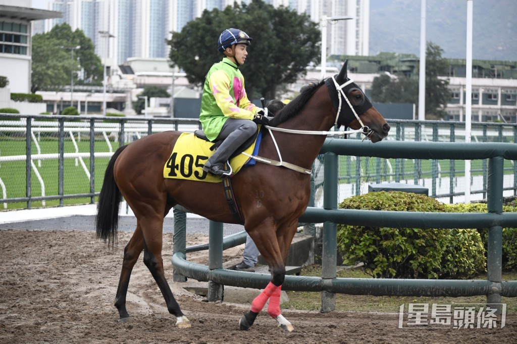 「勝萬金」現時狀態不錯，今場由五班升上四班，仍有力再跑入前列。