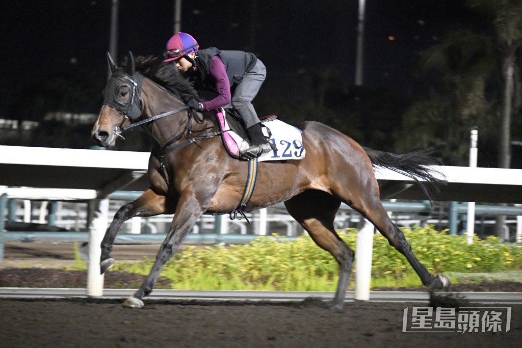 「天將龍駒」今朝加課由巫顯東親自主試。