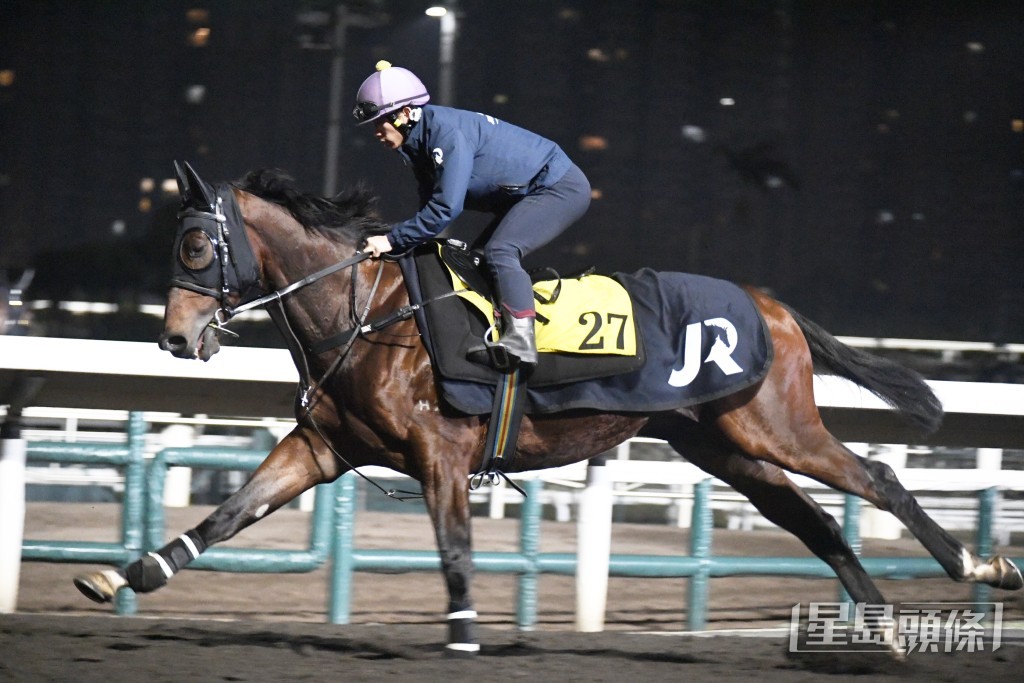 「武林至尊」身靚步開揚，單講狀態好標青。