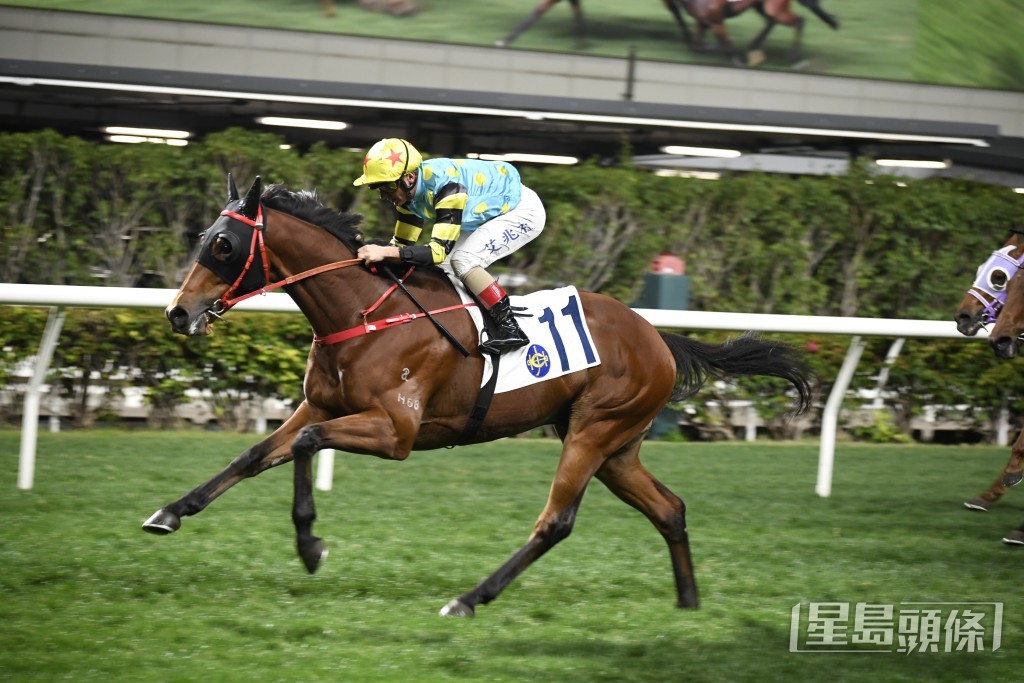 「妙玲珑」今次排一档起步，只要跑回本身应有水准，有力取得今季第三场头马。