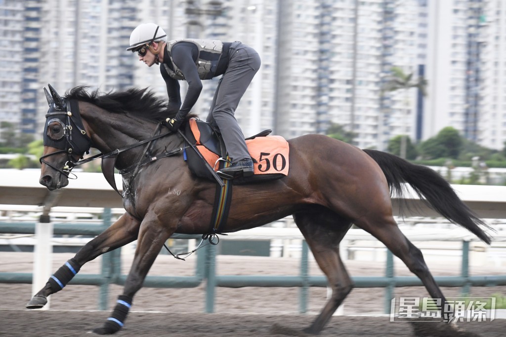 「快樂神駒」馬身靚呈現線條美，神態活躍又有暗火。