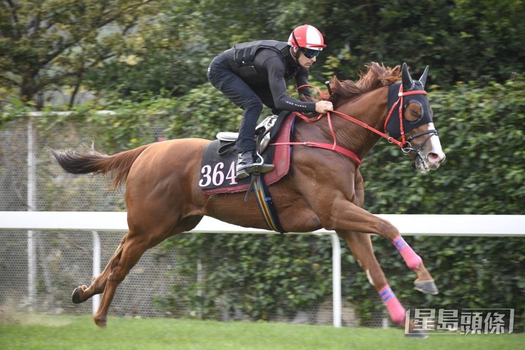 「凡凡有餘」樣子極之神氣，新勝猶勇勇銳無比。