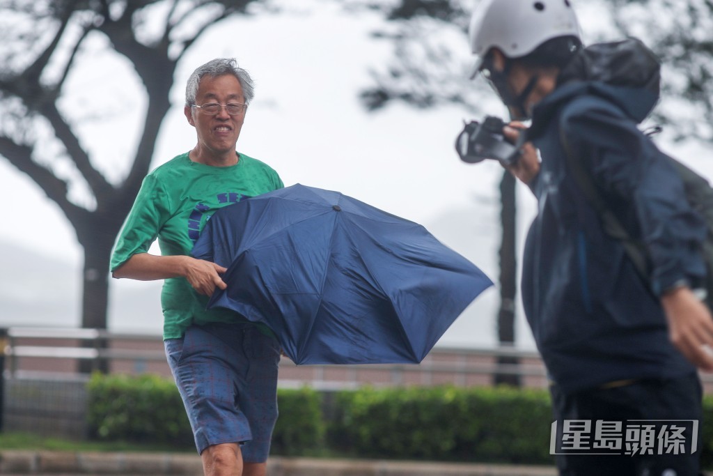 何家豪攝 何家豪攝