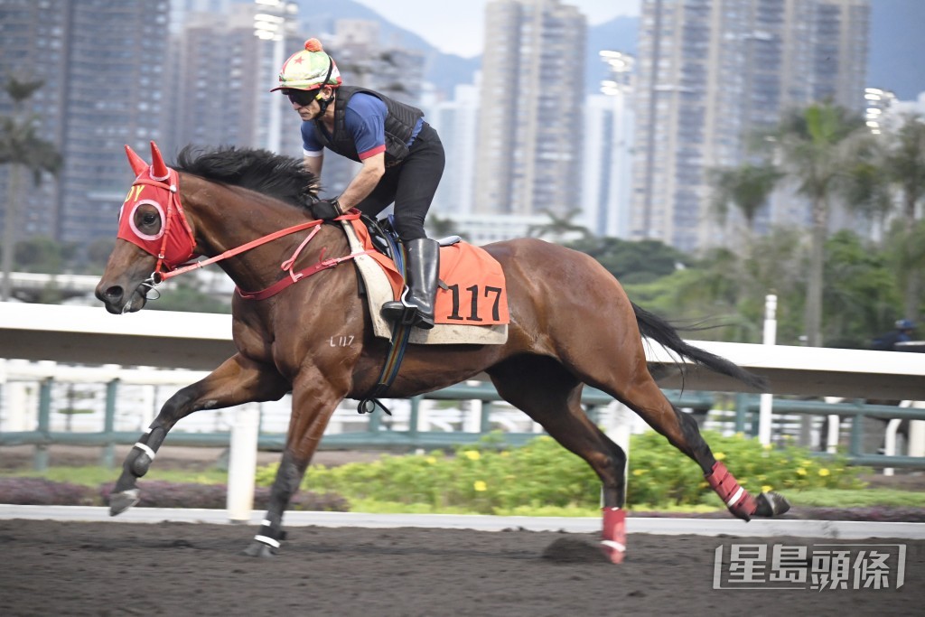 「侦探传奇」神情专注目光如炬，火气有增无减。
