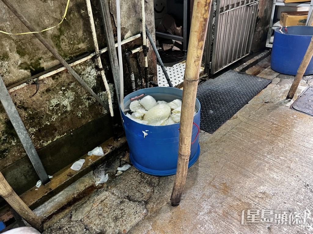 舊旺角街市內有商戶將食材隨處棄置在橫街。 舊旺角街市內有商戶將食材隨處棄置在橫街。