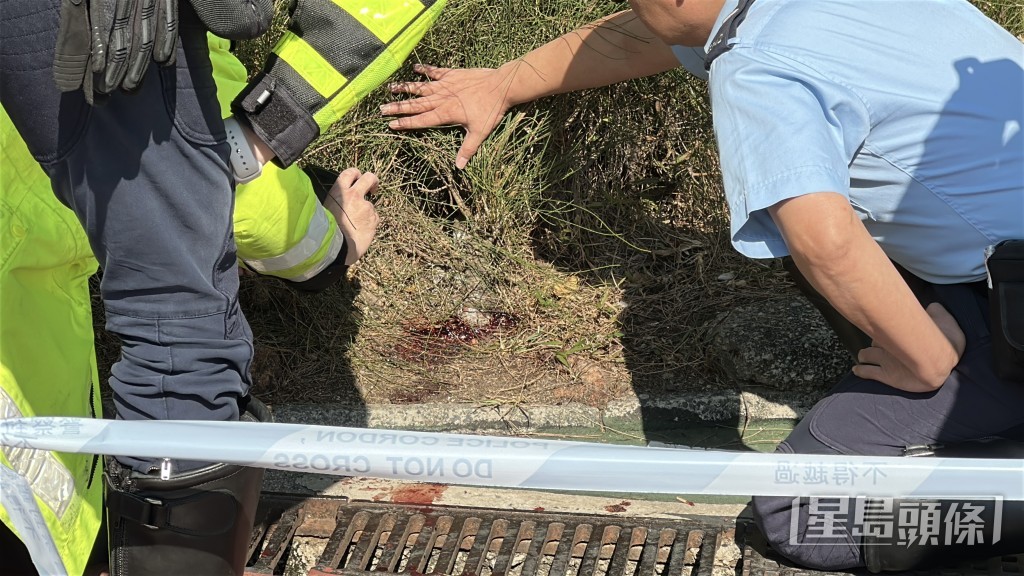 草叢遺下血迹。劉漢權攝 草叢遺下血迹。劉漢權攝