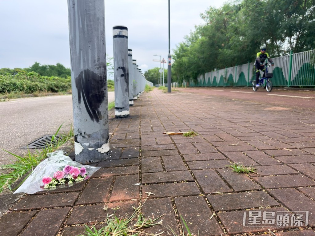 有市民在路旁擺放鮮花悼念女死者。梁國峰攝 有市民在路旁擺放鮮花悼念女死者。梁國峰攝