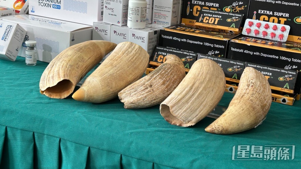 鯨魚牙齒。 鯨魚牙齒。