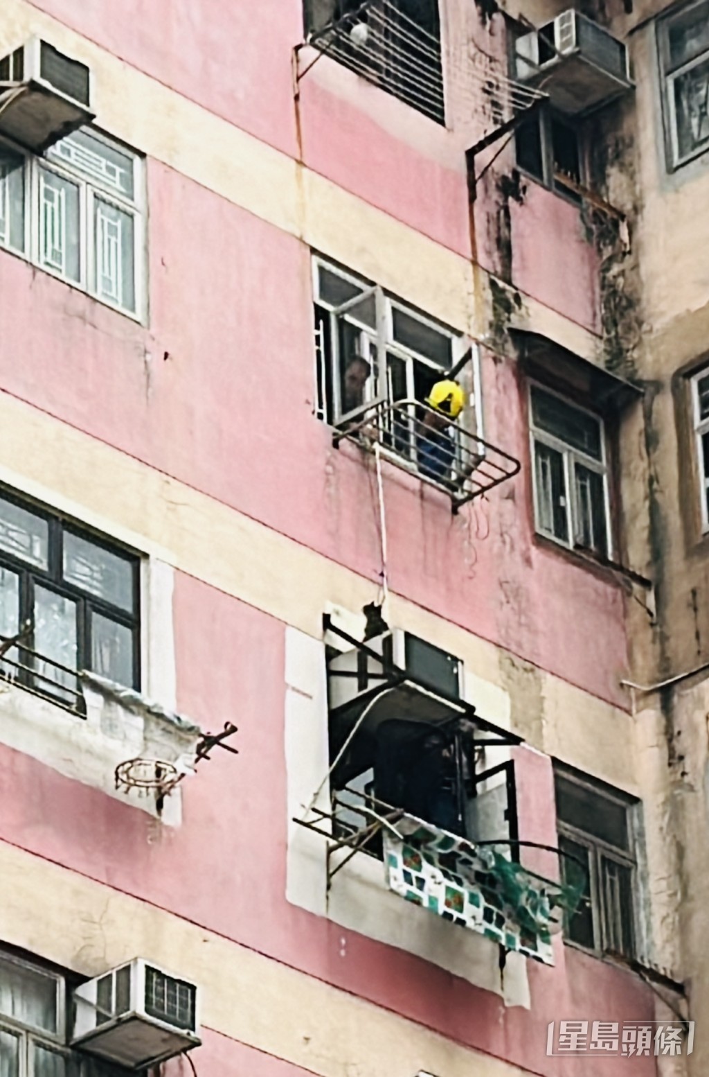 灰黑貓咪被發現墮到5樓冷氣機頂位置。林思明攝 灰黑貓咪被發現墮到5樓冷氣機頂位置。林思明攝