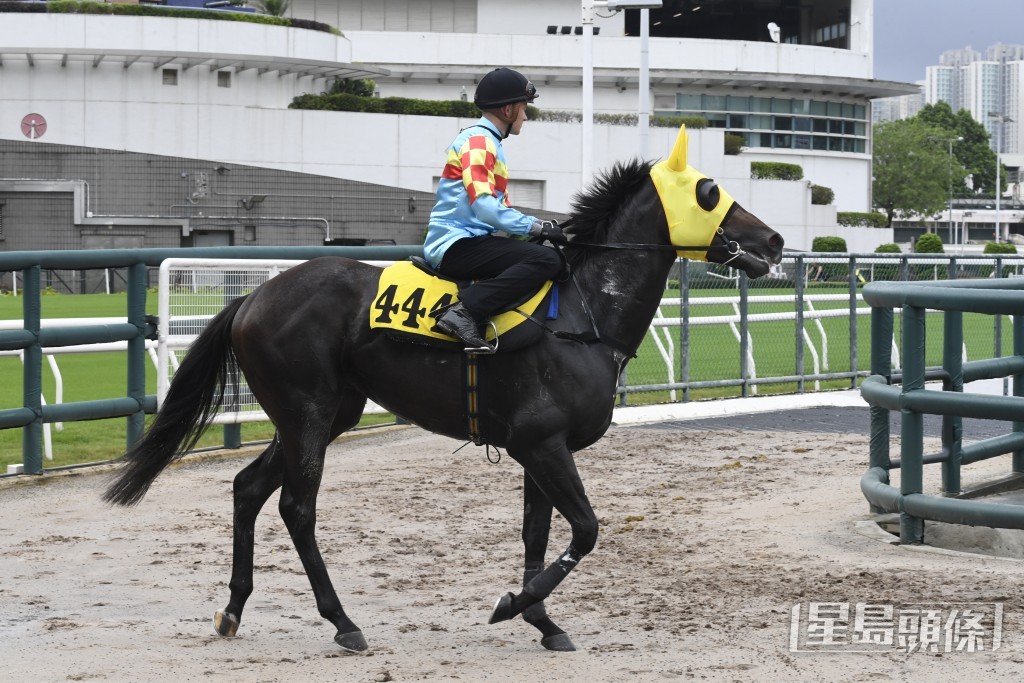 「妙算高歌」憑休後新鮮感和本身速度，有力爭取跨季頭馬。