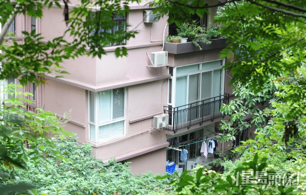 2011年剛升任局長的蘇錦樑，被揭發位於麥當勞道康樂大廈的寓所涉嫌僭建。資料圖片