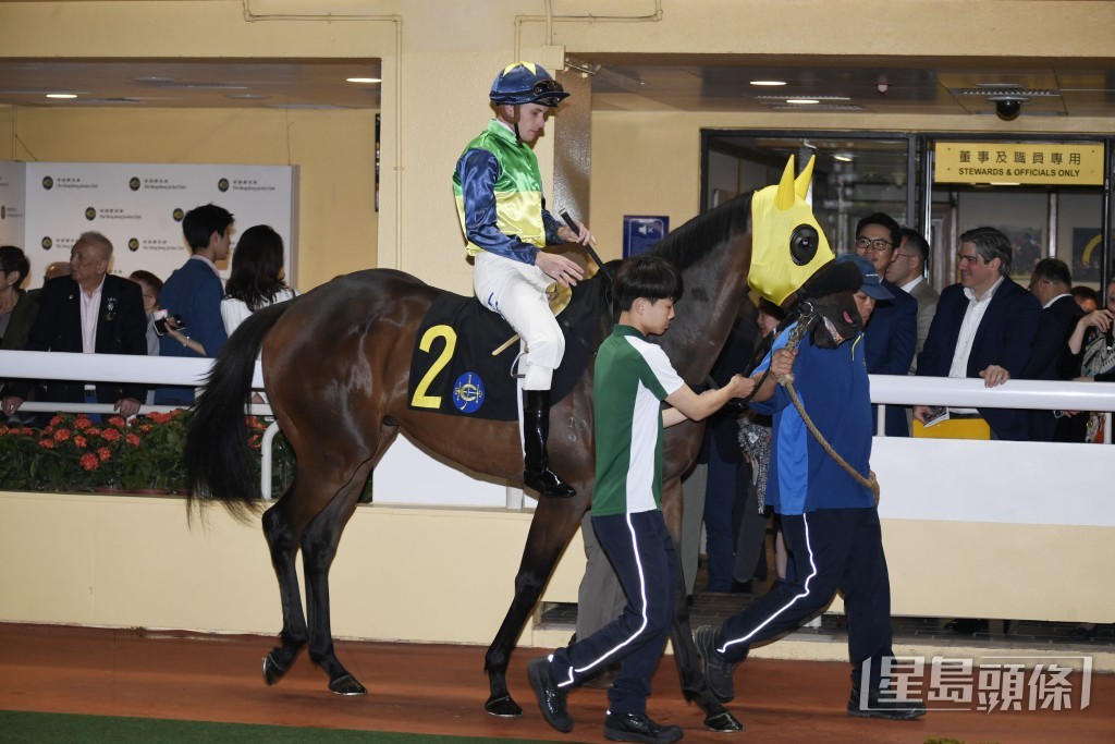  「年少多好」季內取得五亞兩季，始終與頭馬無緣。
