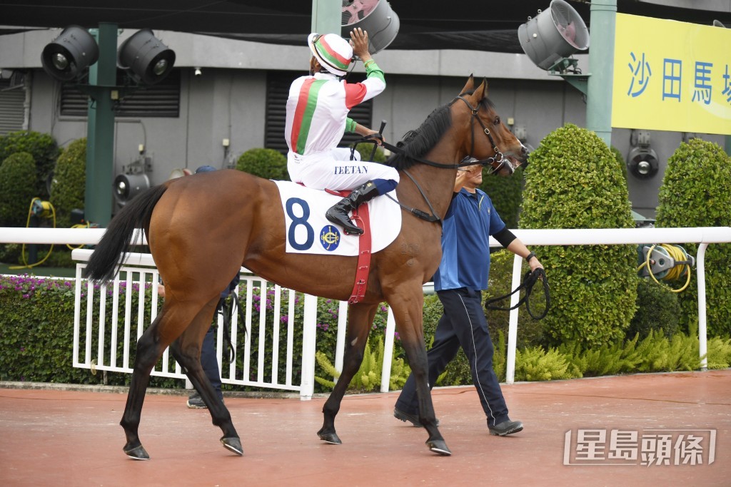 「超勝無敵」今仗將縮程跑谷草千二米。