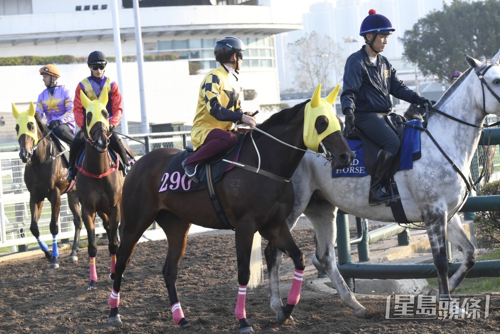 「東來欣賞」全程擔高頭走相當神氣，近況極之出色。