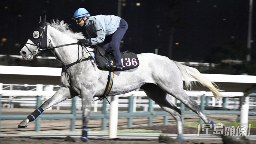 「精英雄心」四蹄盡展衝刺，過終點猶有餘勢。