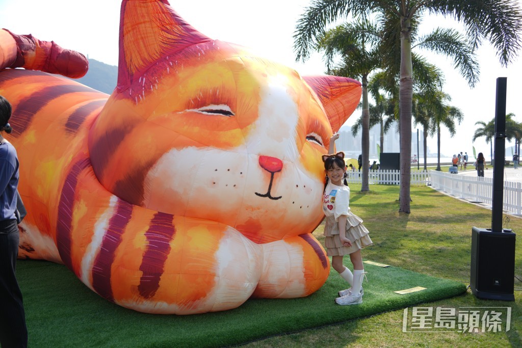 互動藝術裝置《夢遊喵境》首次於亞洲展出，市民可到場感受一下「牠們」的呼嚕聲與心跳。