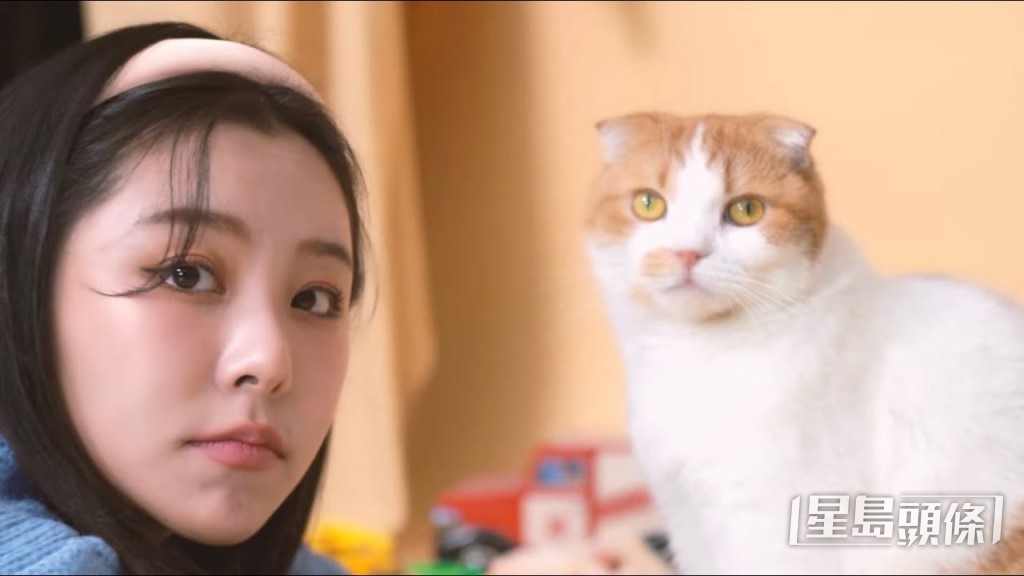 平時最鍾意同貓玩