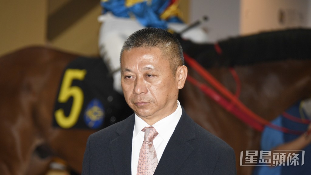 今朝「浪漫斗士」加课期间沈集成跟出跟入，今仗确有冷敲价值。