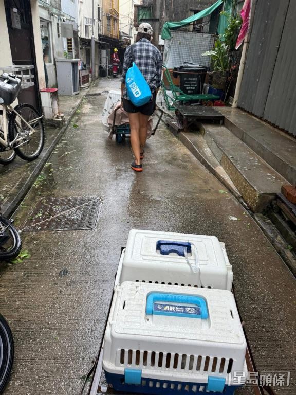 昨日，「大澳流浪貓之家」創辦人German及義工分批將流浪貓放回大自然。  受訪者提供