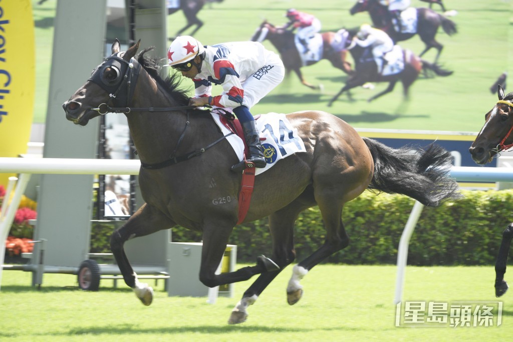 「飛躍凱旋」上仗在田草千四米贏馬。