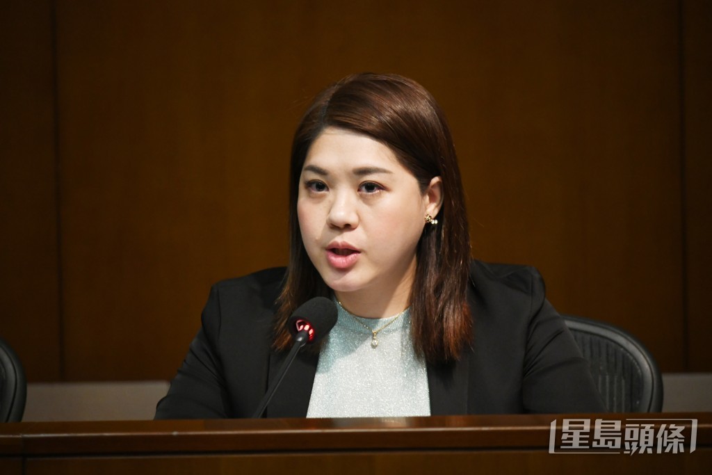 立法會新界東南議員林素蔚。資料圖片 立法會新界東南議員林素蔚。資料圖片
