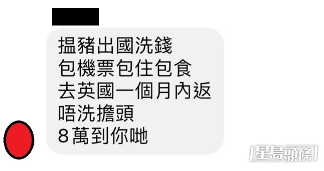 犯罪集团于Telegram等社交媒体发帖，招聘“酒店猪”，背后疑牵涉洗黑钱罪行。