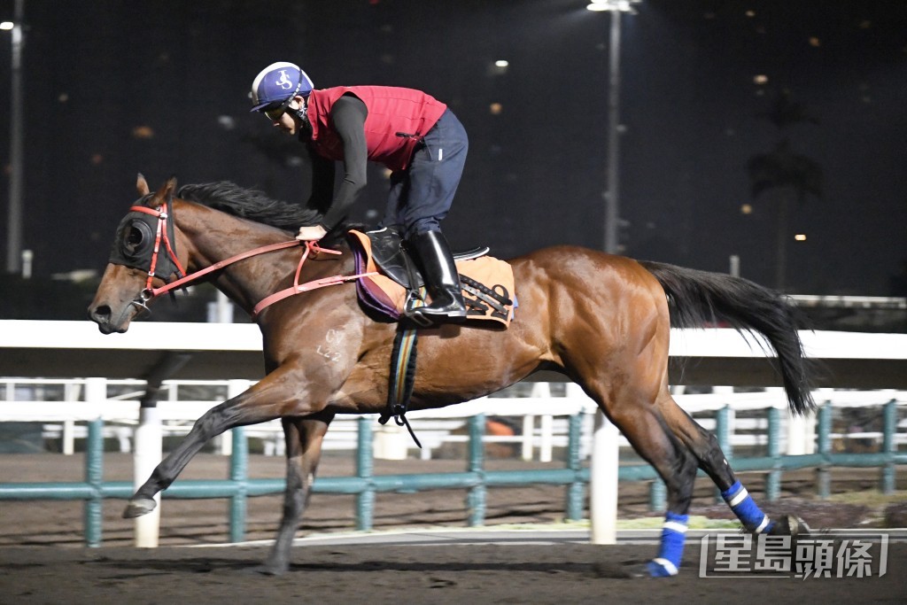 「跨境駿馬」步挺開揚神情專注，持續進步。