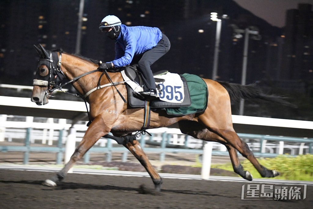 潘顿今朝亲「中国心」，交出极佳走势。