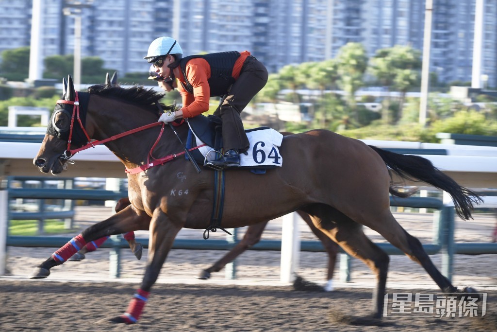 「幸運愉快」雙目有神肌肉結實，前所未見吸引。