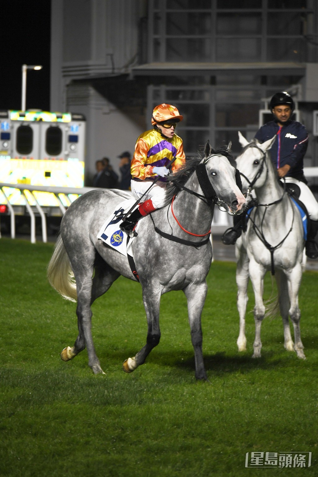 「威利金箭」初出於田草千二米跑獲一席亞軍，上仗增程至千四米則跑獲季軍。