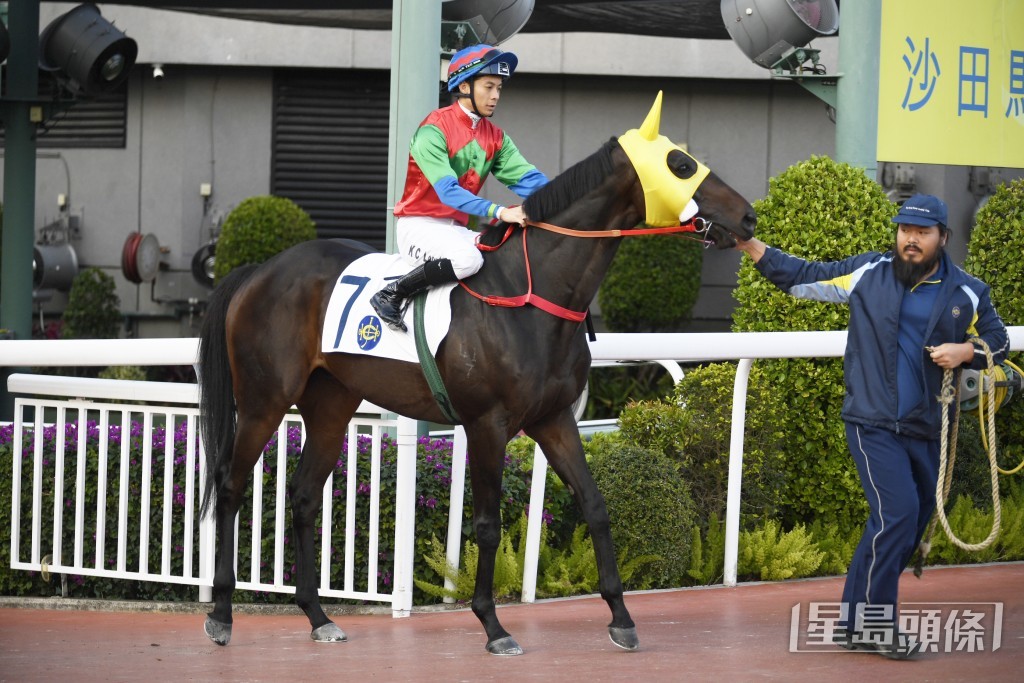 「发财先锋」今季先后取得一冠四季。