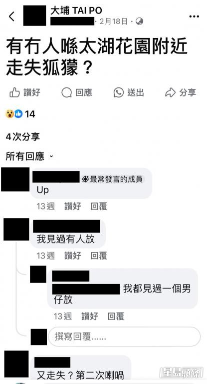 有市民早前於社交媒體發文，呼籲協助尋持走失的狐獴，帖文提及該狐獴有斷尾特徵。  受訪者提供