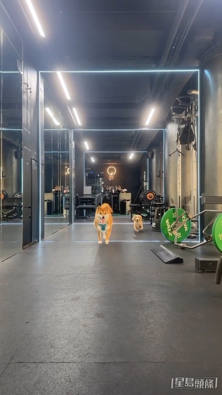 何广沛做GYM都会带埋Charter 。