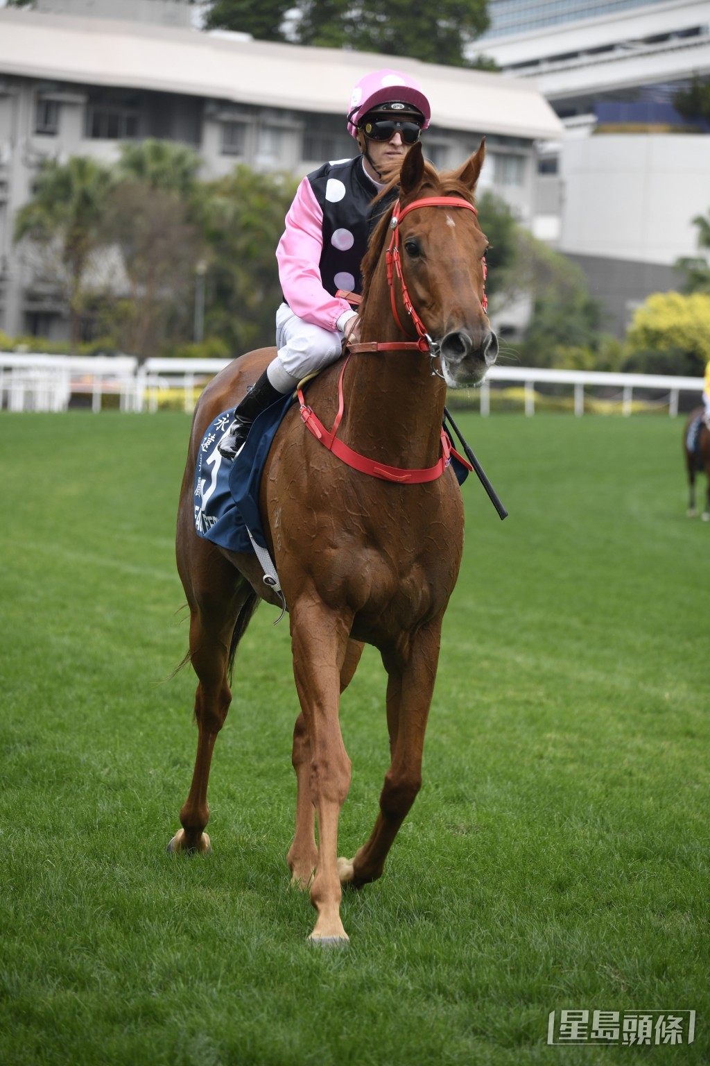 潘頓表示今仗「永遠美麗」必須施展渾身解數才可爭勝。