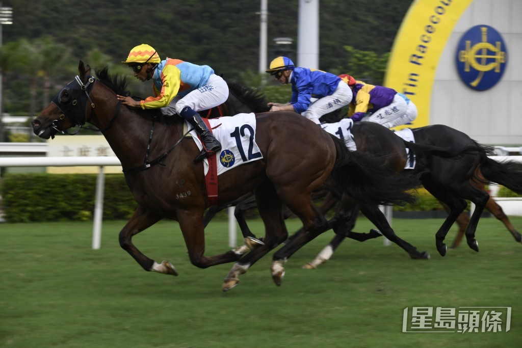 「嘉應駿馬」今次再跑贏馬路程，倘若抽得好檔，應有機會取得跨季連捷。